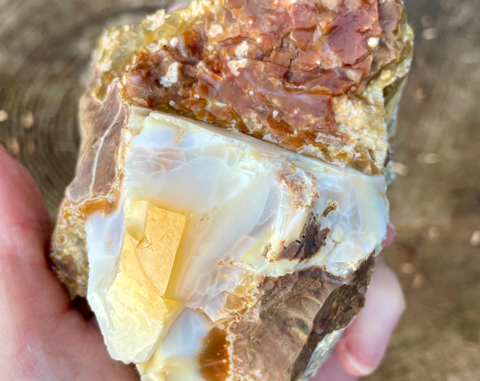 Old Stock Oregon Opal on Rhyolite Jasper Mineral Display Specimen 1.1 lbs