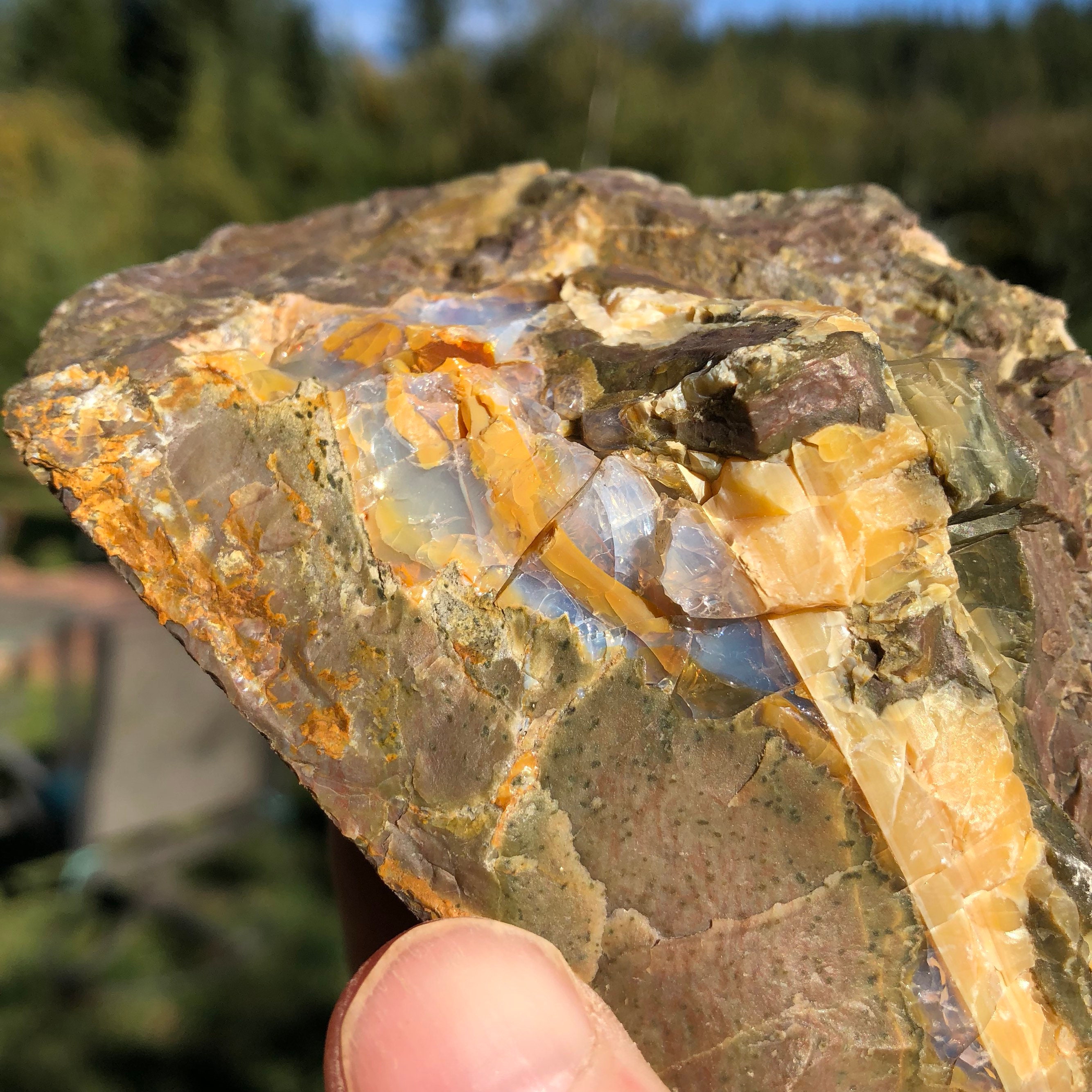 Large Oregon Opal in Rhyolite Jasper Specimen
