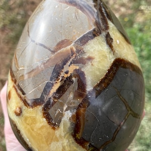 Septarian Nodule Egg Mineral Display Specimen 5.12 lbs