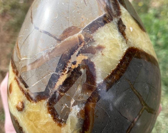 Septarian Nodule Egg Mineral Display Specimen 5.12 lbs