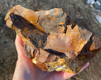 Oregon Picture Jasper Rough Lapidary Mineral Specimen 4.75 lbs