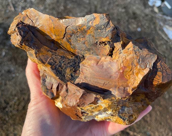 Oregon Picture Jasper Rough Lapidary Mineral Specimen 4.75 lbs