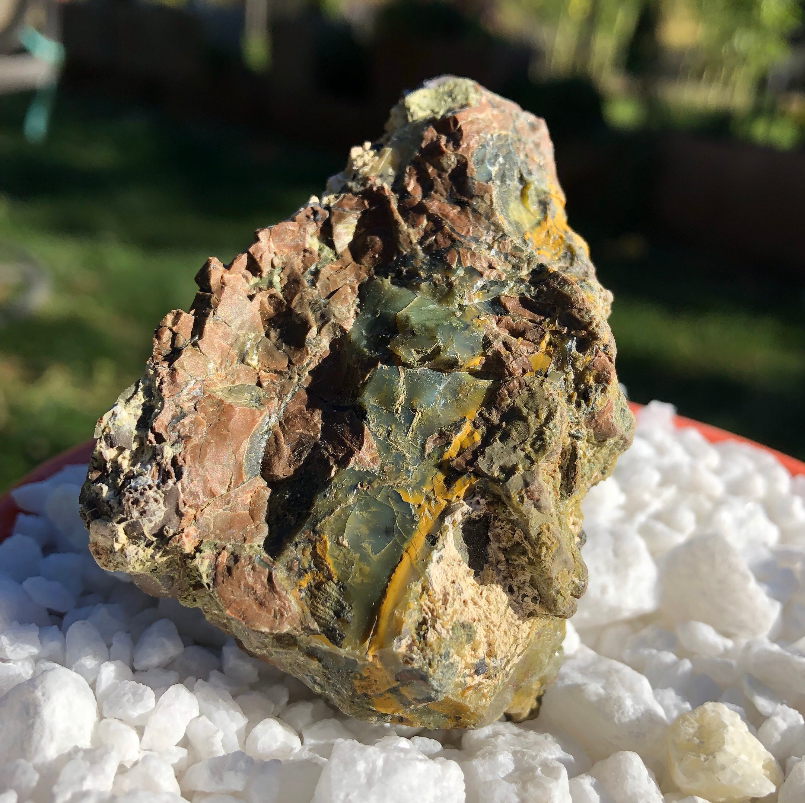 2 pieces of Oregon Opal in Rhyolite Jasper display specimens