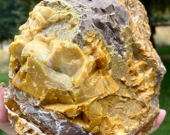 6.06 lbs Old Stock Oregon Opal from Opal Butte Oregon on Rhyolite Jasper