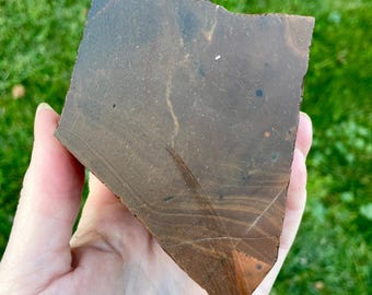 540g Deschutes Picture Jasper Rough Lapidary Specimen