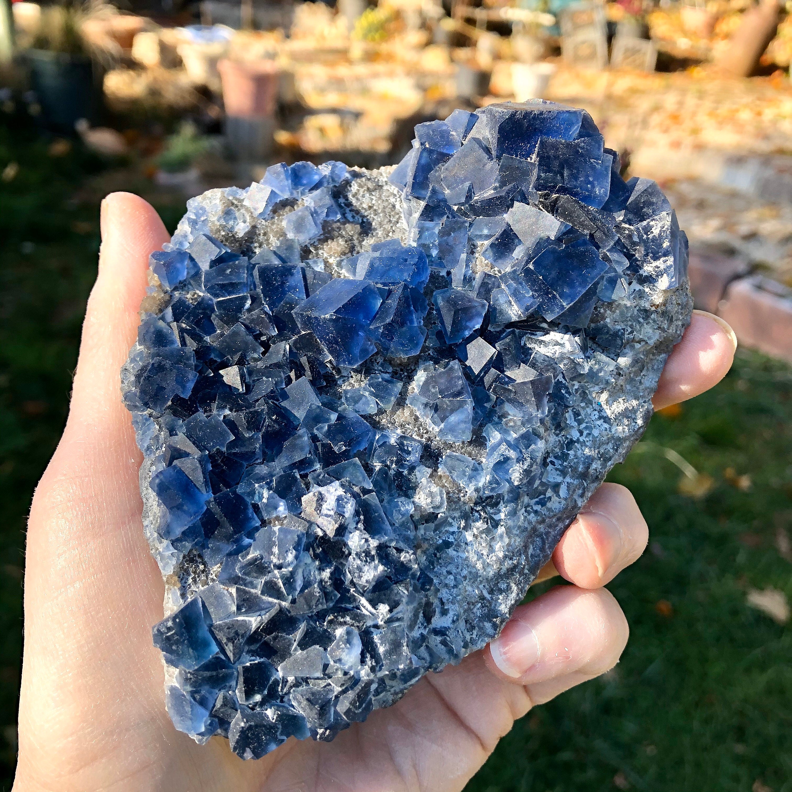 460g Stunning Blue Cubic Crystal Cluster Specimen on Gray Druzy Smoky Quartz