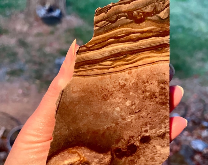 218g Blue Biggs Picture Jasper Rough Lapidary Mineral Specimen