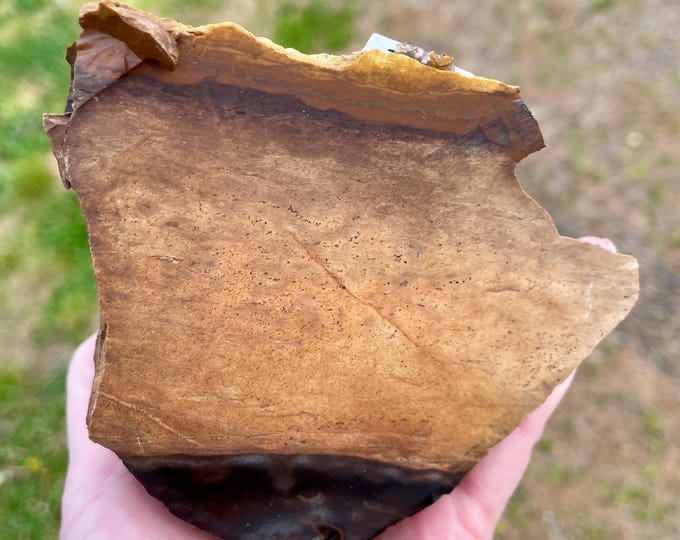 410g Blue Biggs Picture Jasper Rough Cut Lapidary Mineral Specimen
