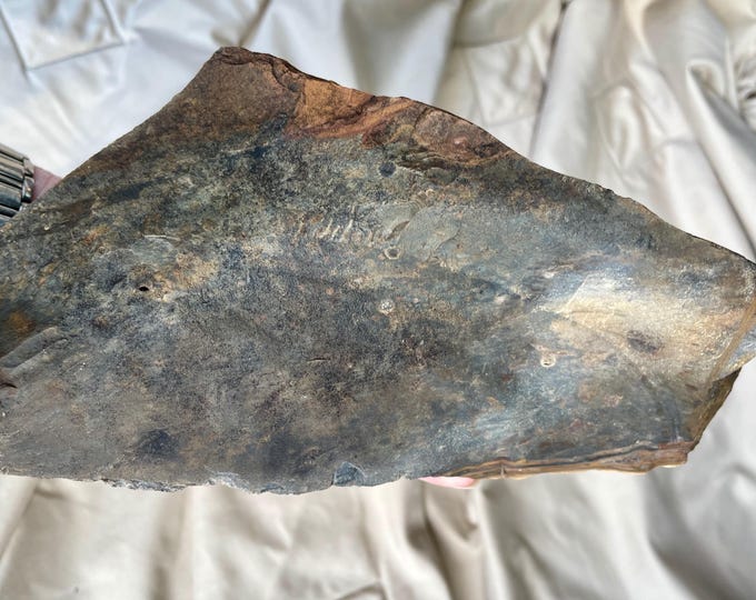 4 lb Blue Biggs Picture Jasper Rough Cut Lapidary Mineral Specimen