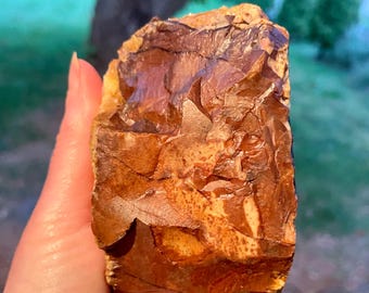 Deschutes Picture Jasper Rough Lapidary Specimen 1.44 lbs