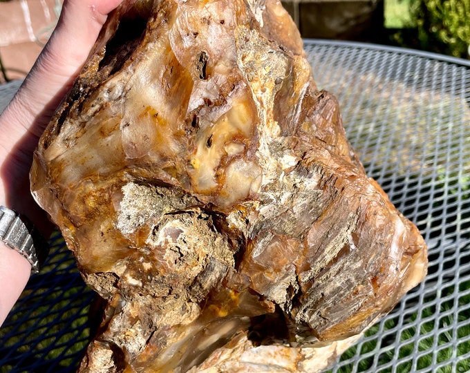 Agatized Opalized Petrified Wood natural mineral display specimen 23.53 lbs