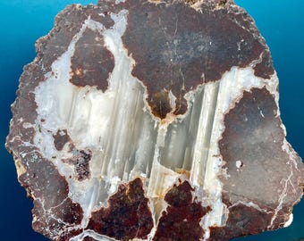 9.55 lb Polished Thunder Egg half Mineral Display Specimen