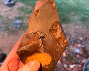 Biggs Picture Jasper Rough Lapidary Mineral Specimen 1.19 lbs