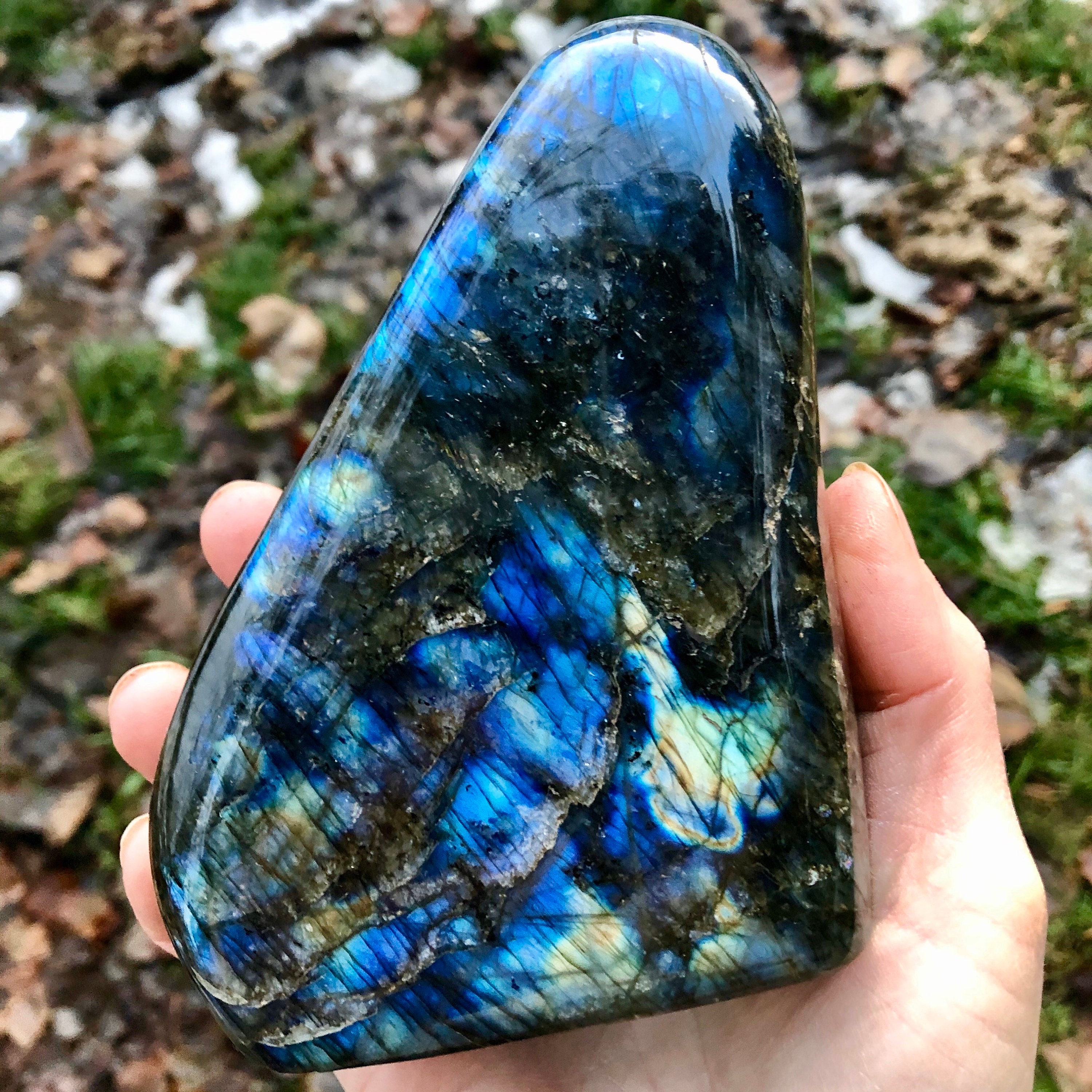 Blue Flash Spectralite Labradorite Standing Freeform Specimen