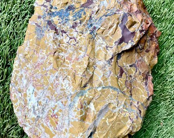 Brecciated Jasper Mineral Display or Lapidary Specimen 9.64 lbs