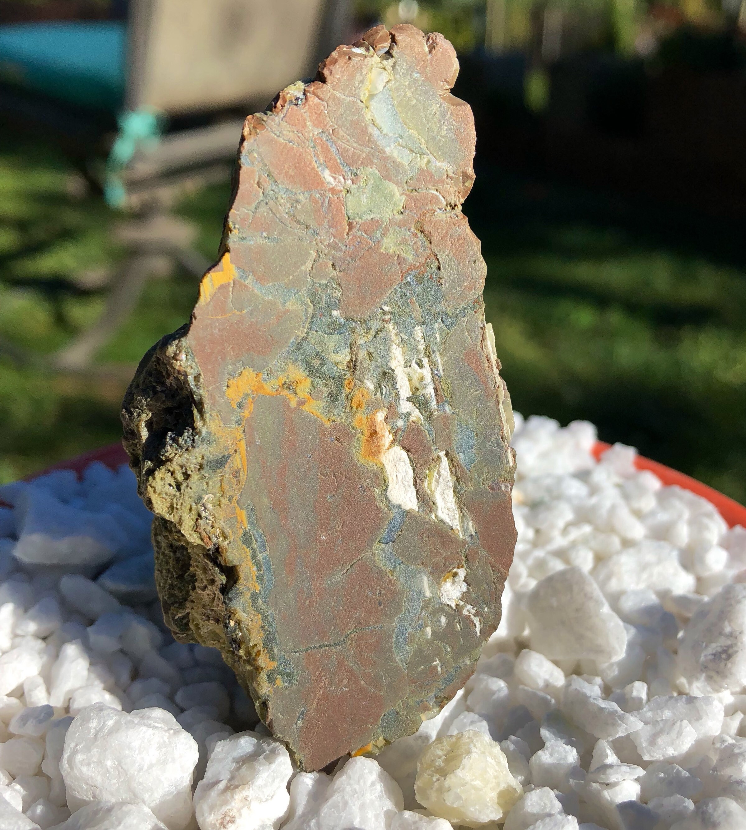 2 pieces of Oregon Opal in Rhyolite Jasper display specimens