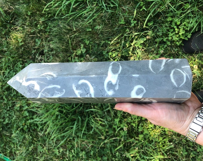 4.91 lbs Thousand Eyes Stone aka Fossil Shellstone Obelisk Pillar Tower Point Wand Column Generator