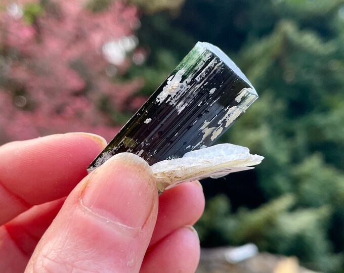 Green Cap Tourmaline Crystal 26.44 grams