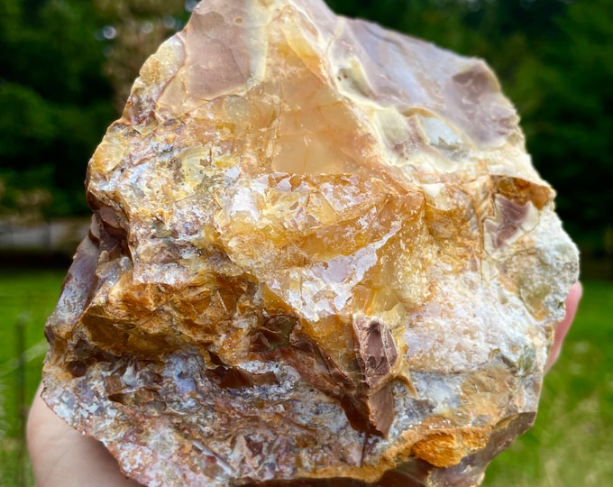 Oregon Opal Rhyolite Jasper Mineral Display Specimen 3.33 lbs