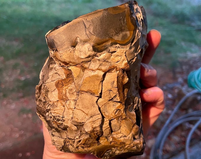 Blue Biggs Picture Jasper Rough Lapidary Mineral Specimen 946 grams