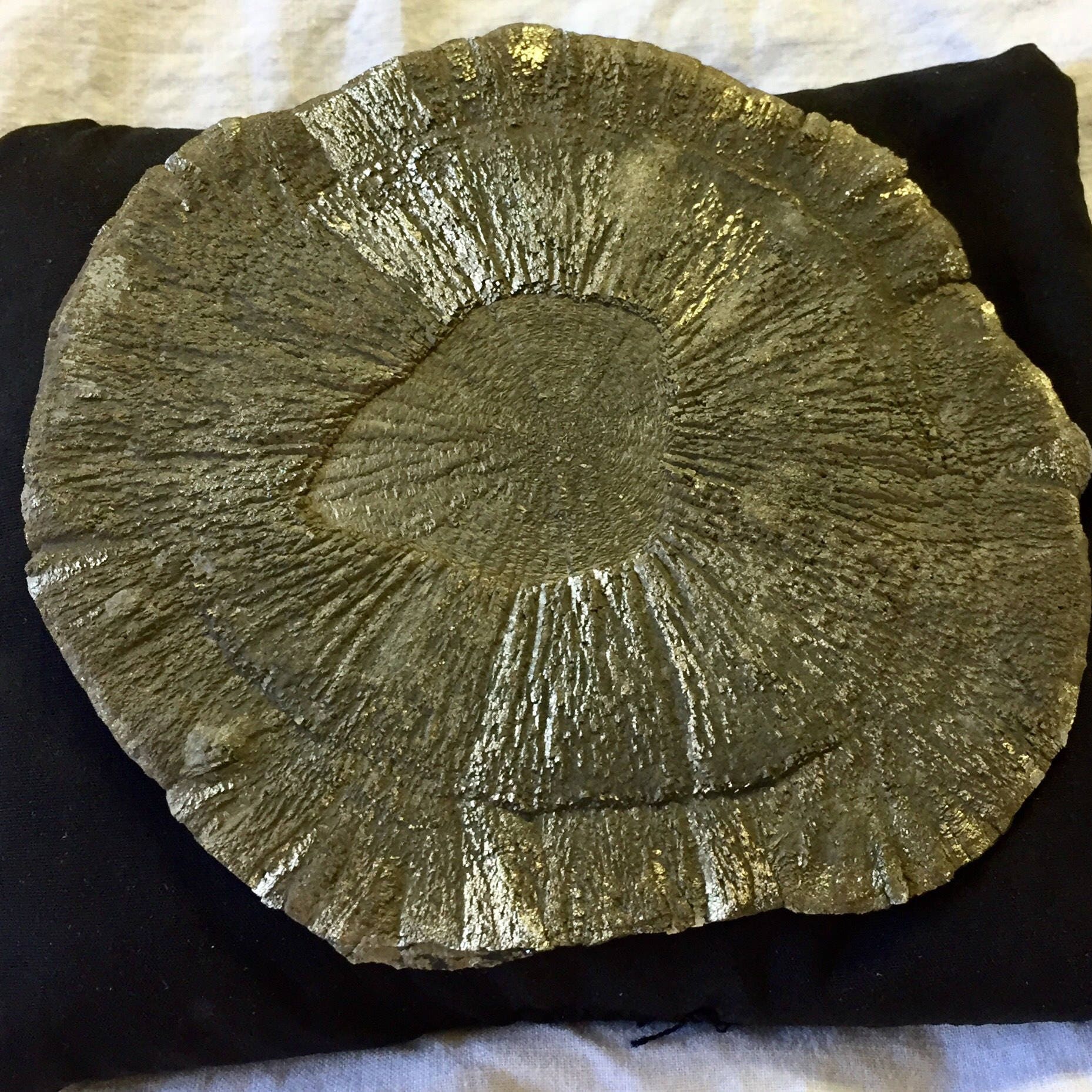 Pyrite Sun, very large and impressive