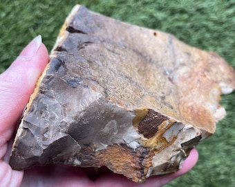 Biggs Picture Jasper Rough Lapidary Mineral Specimen 1.55 lbs
