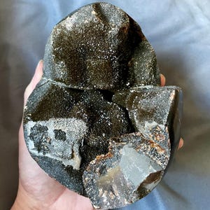 Septarian Nodule Egg Mineral Display Specimen 3.86 lbs