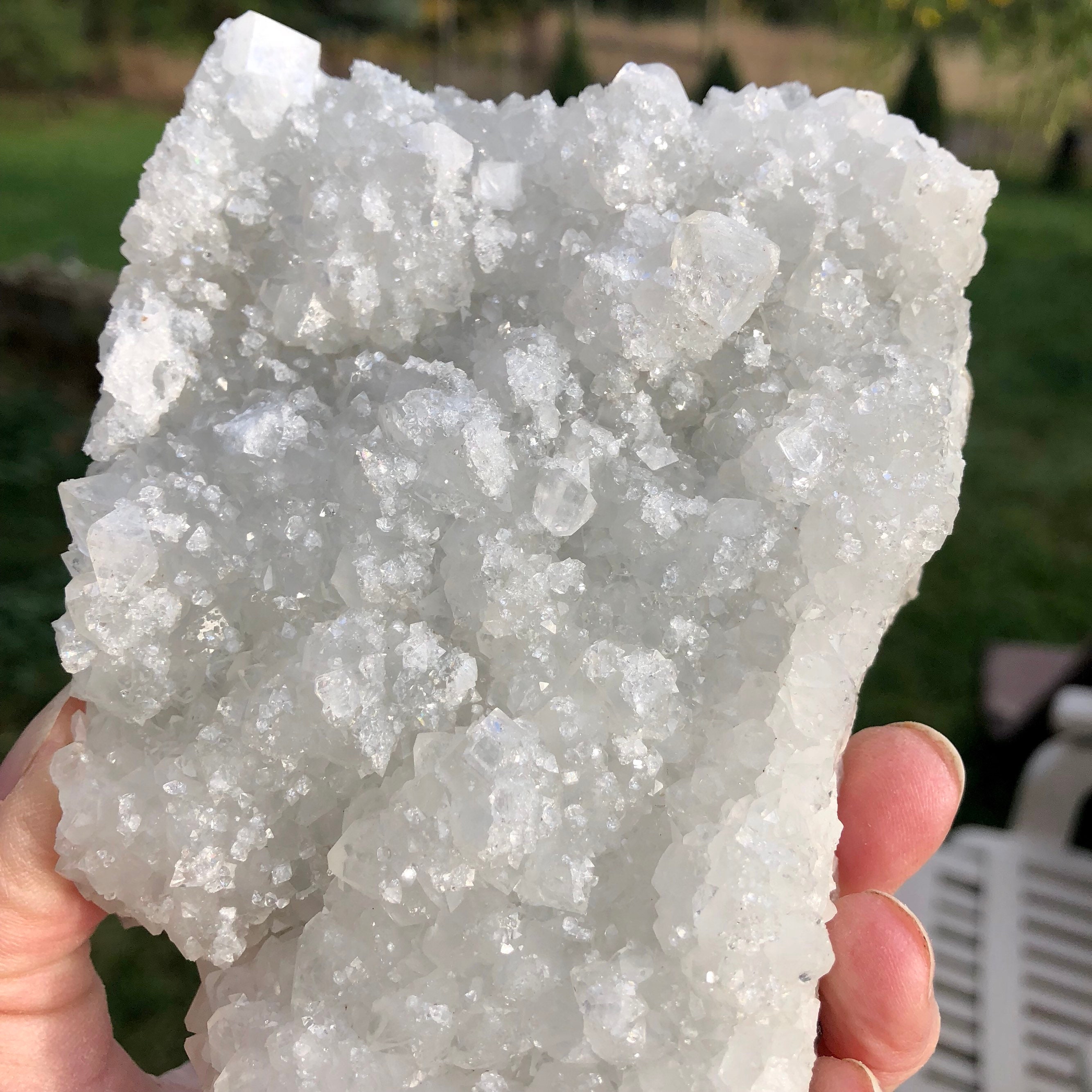 Druzy Apophyllite Crystal Cluster Specimen Large 