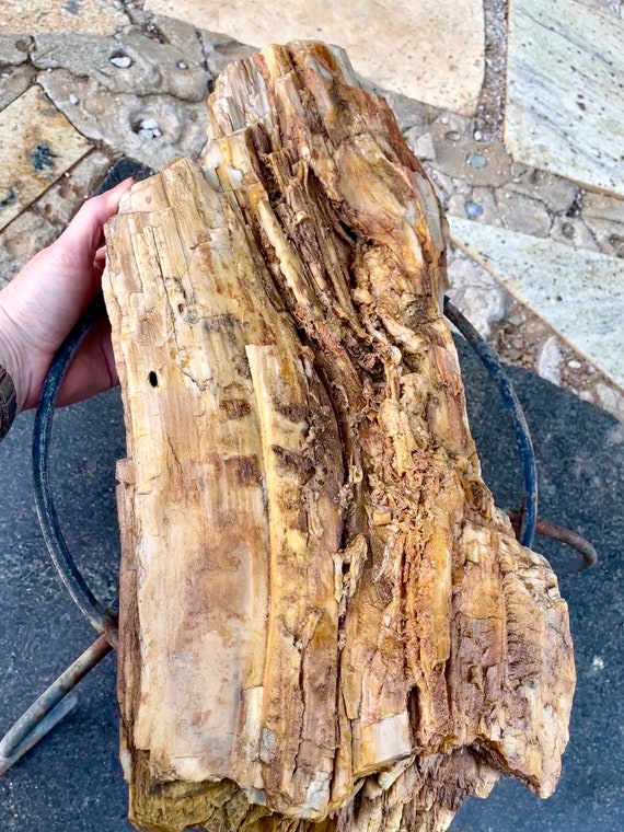 Petrified Wood Log Door Handle Petrified Wood Log Door Handle