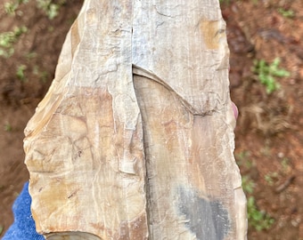 Agatized Petrified Wood Mineral Display Specimen 4.57 lbs