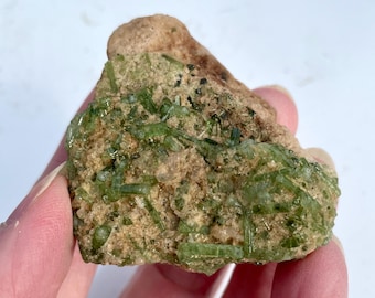 52g Green Tourmaline Crystal Cluster Specimen In Matrix