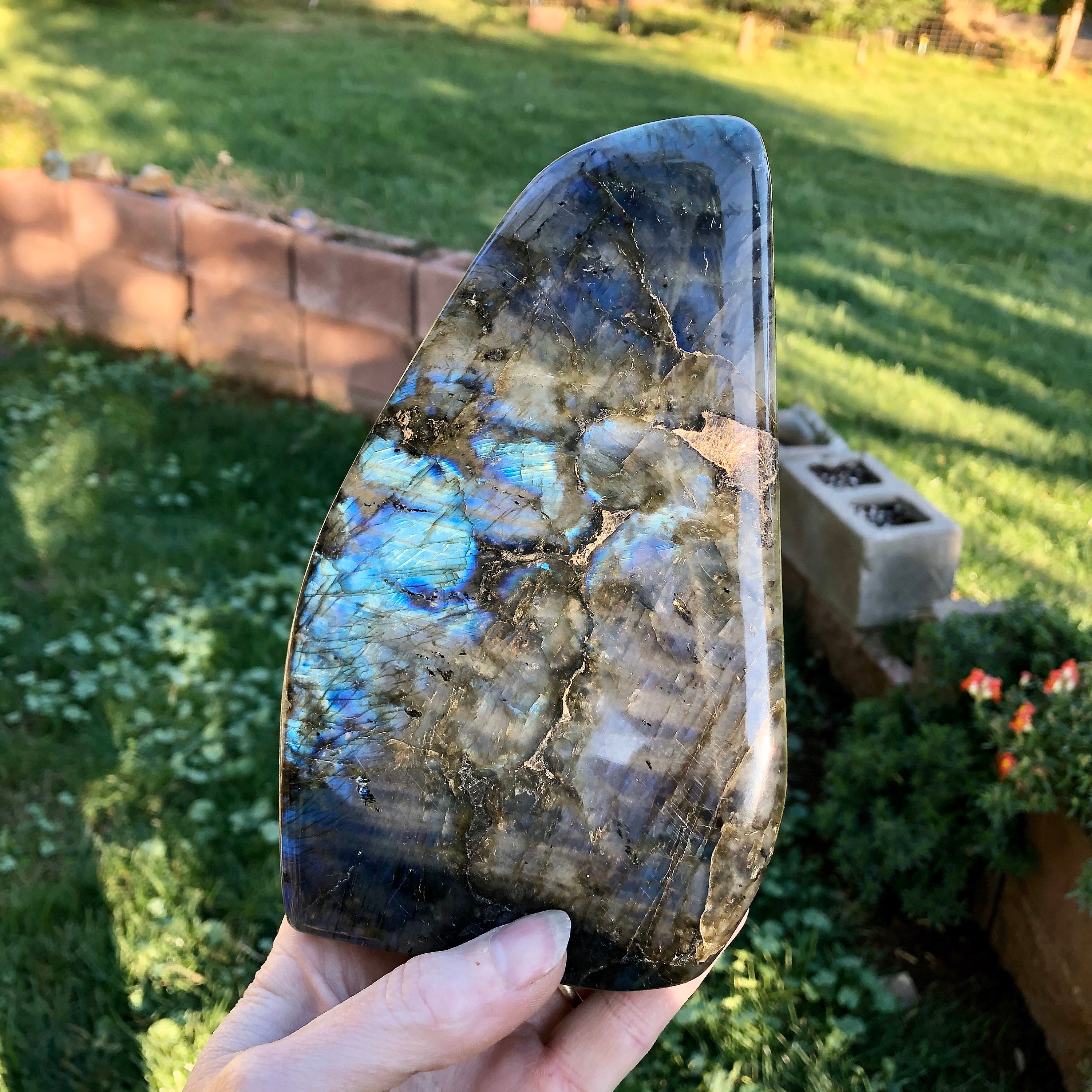 Blue flash Spectralite Labradorite standing freeform specimen