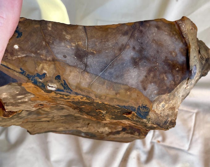 8.6 lb Blue Biggs Picture Jasper Rough Cut Lapidary Mineral Specimen
