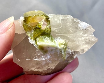 110.1g Watermelon Tourmaline in Smoky Quartz Crystal Specimen