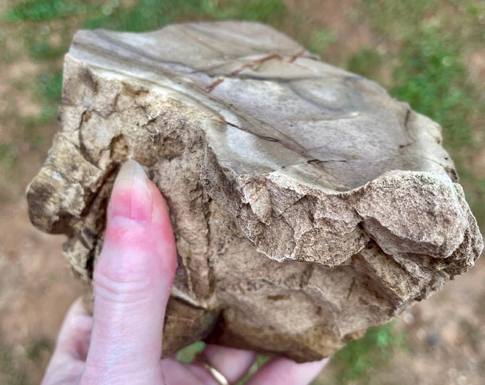 Picture Jasper Mineral Display Specimen 2.8 lbs