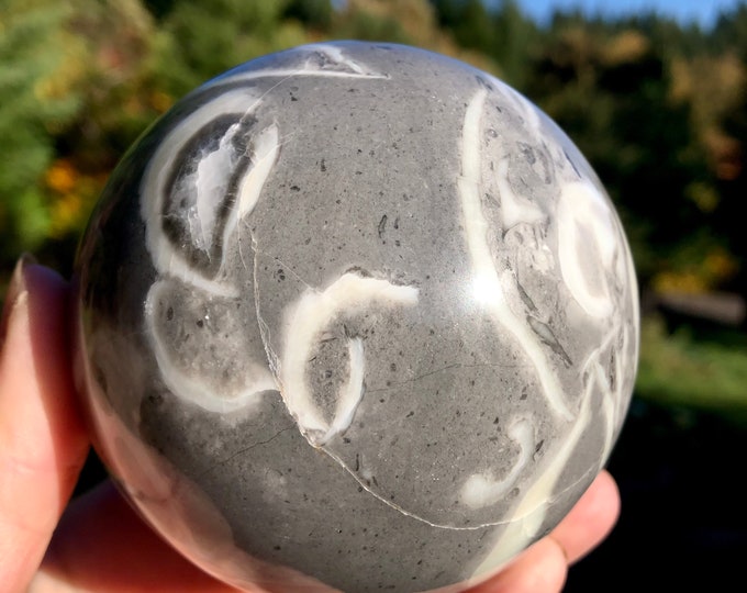 88mm Thousand Eyes Stone aka Shellstone Jasper Sphere Orb Ball Mineral Display Specimen