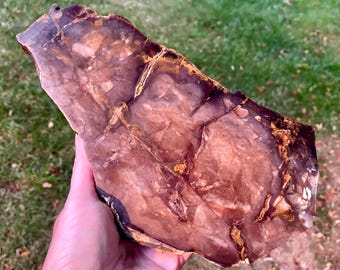 Biggs Picture Jasper Rough Lapidary Mineral Specimen 2 lbs