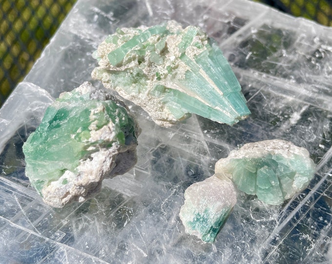 Elbaite Tourmaline Crystal Clusters Set of 4