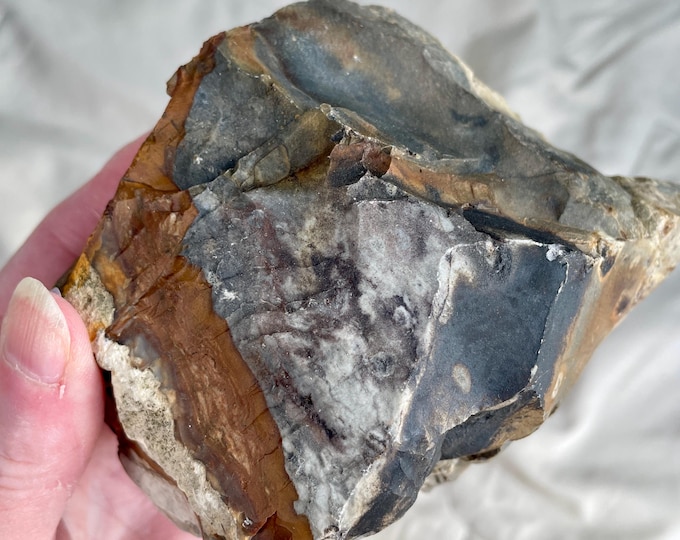 1.7 lb Blue Biggs Picture Jasper Rough Lapidary Mineral Specimen