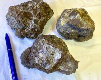 Thunder Eggs uncut from Oregon Set of 3