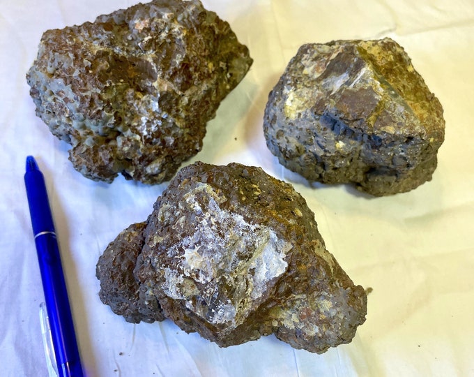 Thunder Eggs uncut from Oregon Set of 3