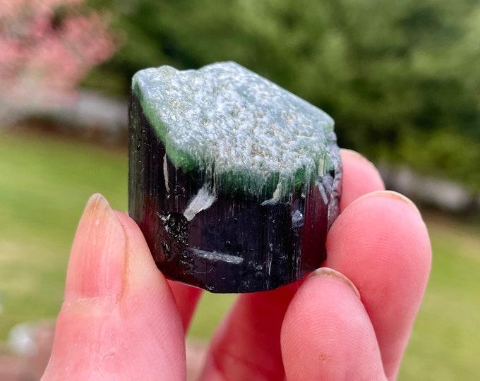 Green Capped Tourmaline Crystal 43.42 grams