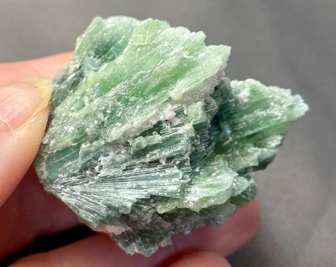 58.4g Green Tourmaline Crystal Spray Specimen