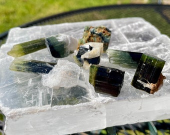 Tourmaline Terminated Crystal Mineral Display Specimens Set of 8