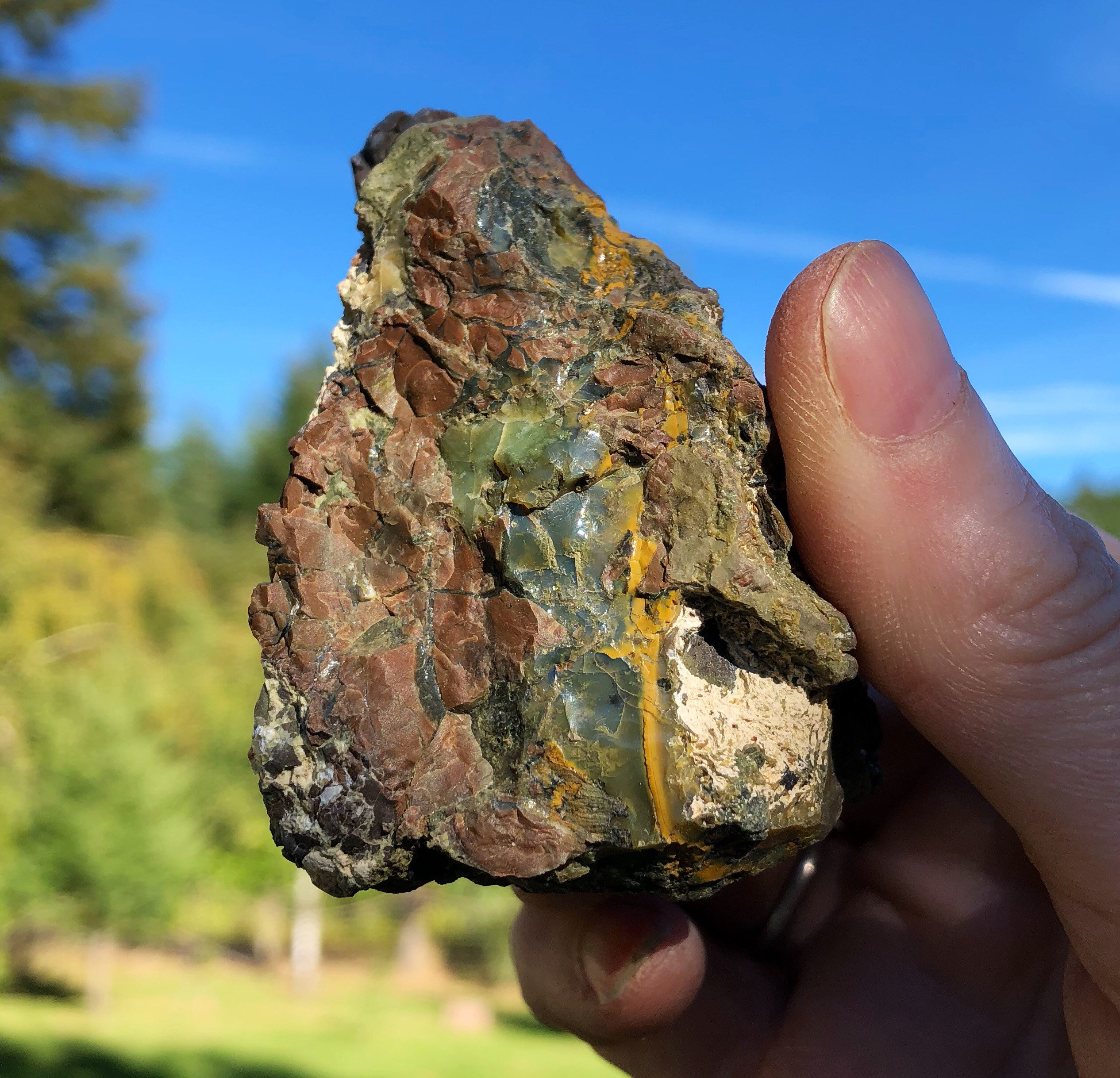 Borgess My Healthpublic Opal Mines In Oregonterms Of Use - r2bwbz3