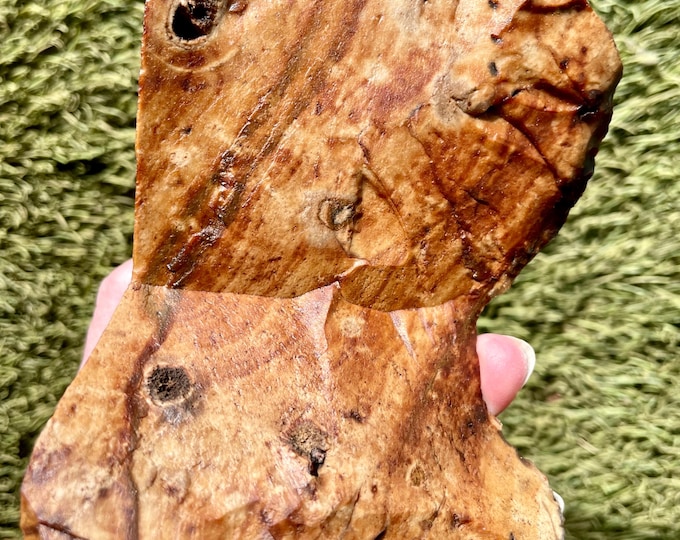 2.06 lb Biggs Picture Jasper Rough cut Lapidary Mineral Specimen