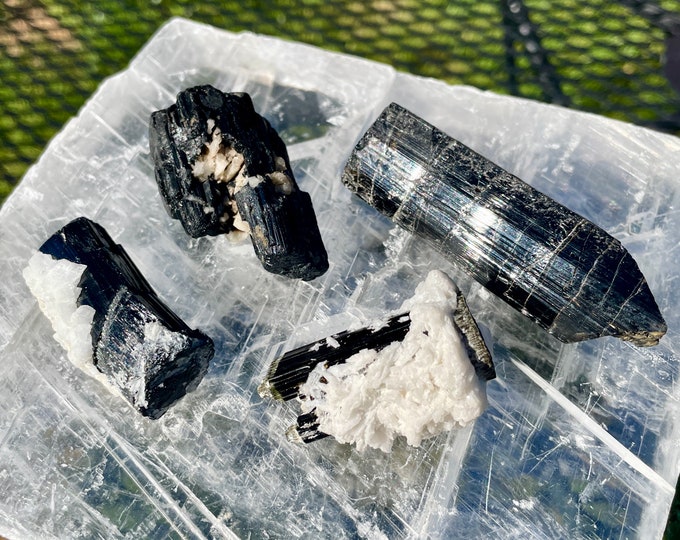 Black Tourmaline Crystal Mineral Display Specimens Set of 4