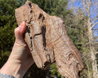 3.73 lb Brown Opalized Petrified Wood Specimen
