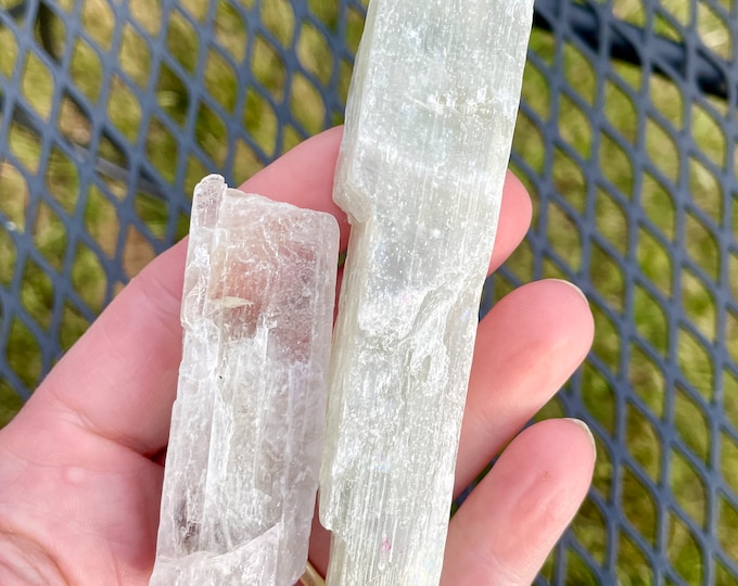 Green Kunzite Crystals 107.25 grams Set of 2
