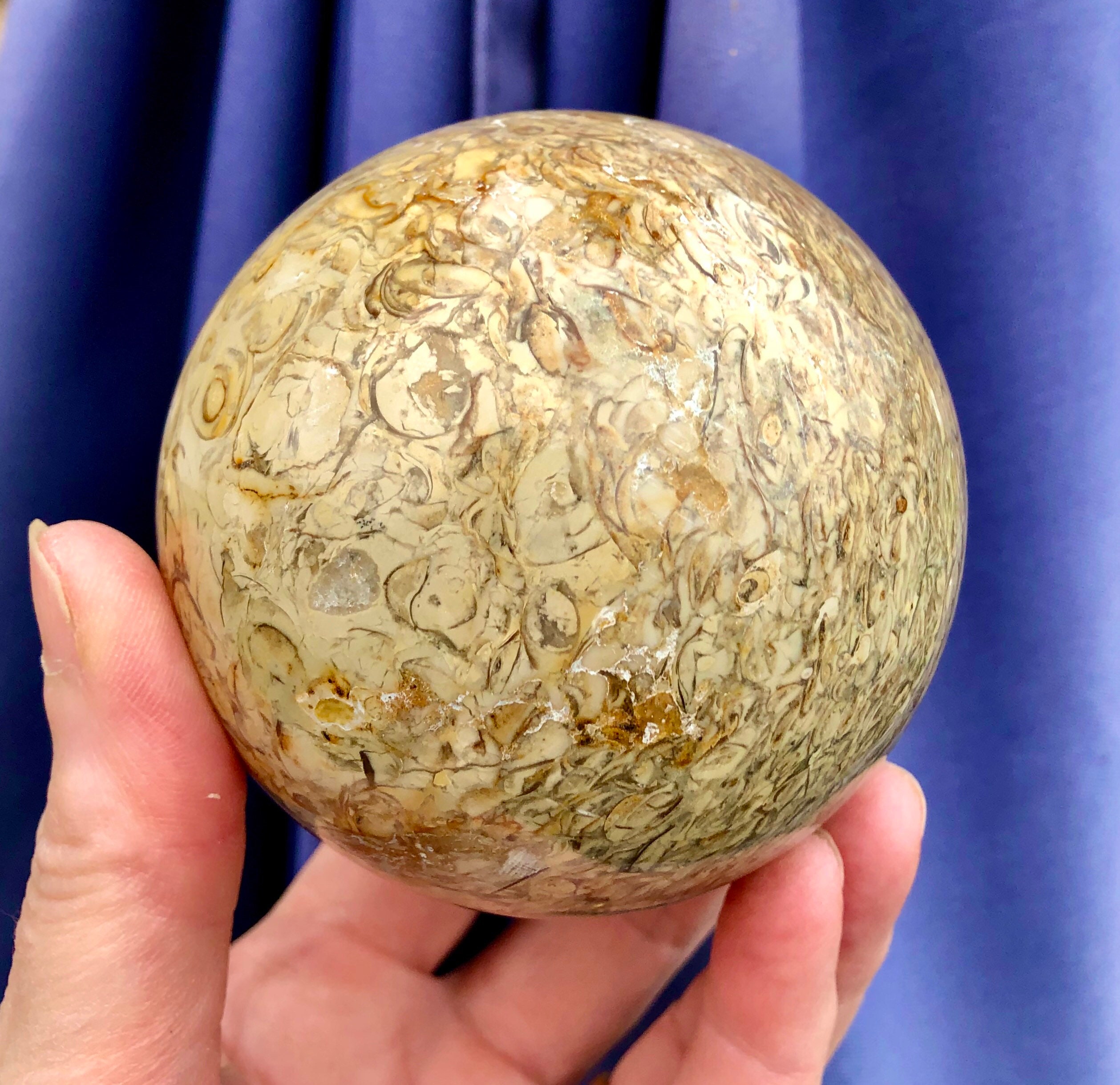 79mm Fossil Stone Jasper Sphere Orb Ball Mineral Display Specimen